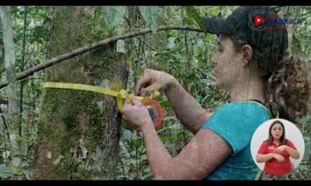 Carbono neutralidad UNA