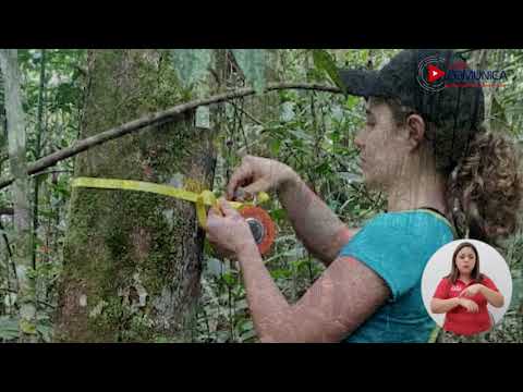 Carbono neutralidad UNA