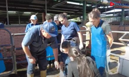 50 Aniversario Veterinaria