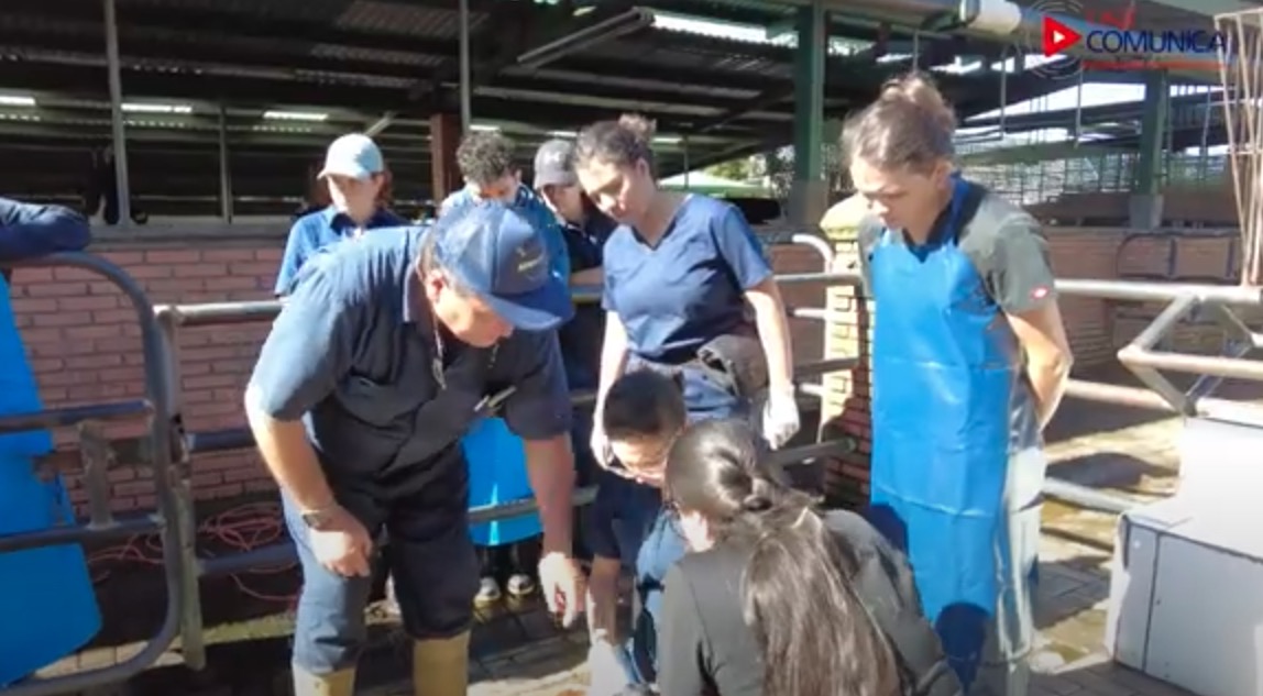 50 Aniversario Veterinaria