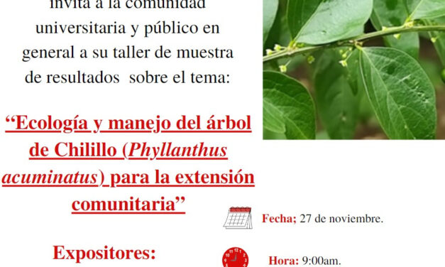 Taller:  Ecología y manejo del árbol de chilillo para la extensión universitaria