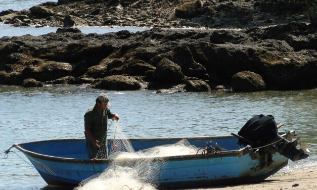 9 de cada 10 personas rechaza pesca de arrastre