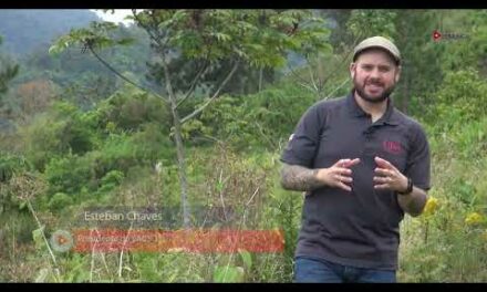 V Asamblea de la Comisión Sismológica de Latinoamérica y el Caribe: Costa Rica 2024