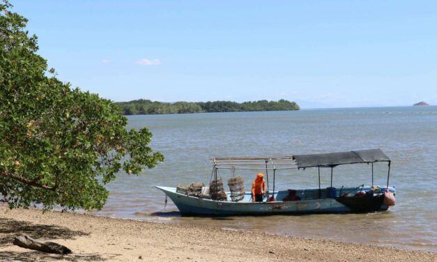 Los desafíos económicos y biológicos del domo térmico