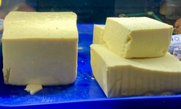 Hallan quesos con materia fecal y resistentes a los antibióticos