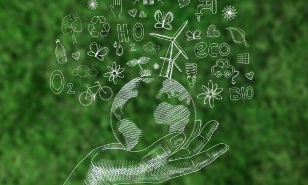 El Pacto Verde Europeo: implicaciones para países en desarrollo