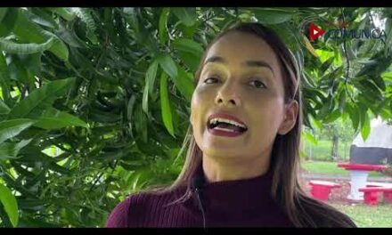 Escolares y colegiales presentaron diseños en robótica