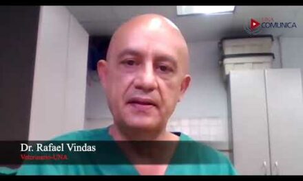 Higiene y curación de heridas previene contagio por gusano barrenador