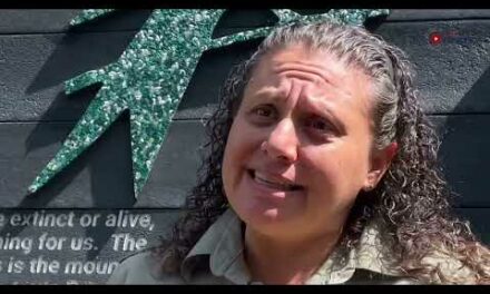 Medidores ambientales alertarán emanación de gases en volcán Poás