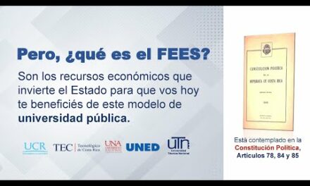 ¿Qué es y para qué sirve el FEES?