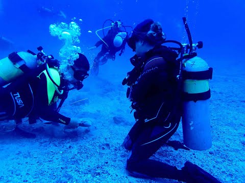 UNA Mirada: Ciencia para Salvar el Océano