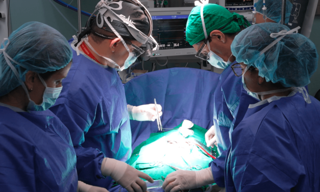 Un corazón 3D une la ciencia y la academia