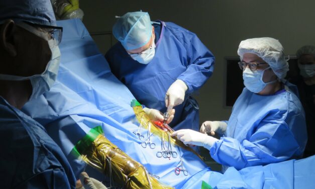 Hospital de Equinos contribuye en diseño de dispositivos médicos humanos