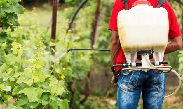 Uso de plaguicidas en Costa Rica, el costo oculto de la producción agrícola