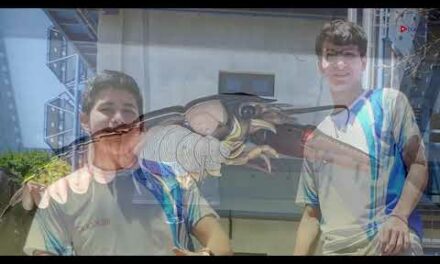 Olimpiadas Biología 2024