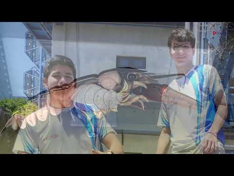 Olimpiadas Biología 2024