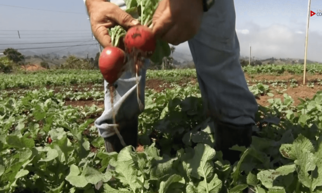 Agroecología gana terreno en Costa Rica