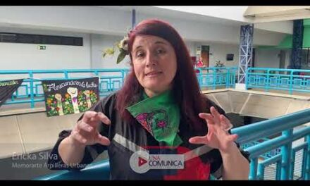 Taller arpilleras 2024