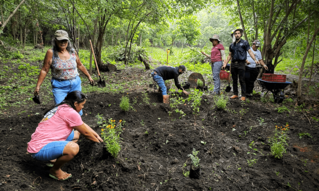 Inaugura huertos comunitarios en San Rafael de Heredia, la UNA e isla Venado