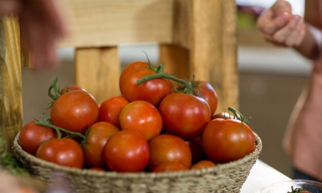 Precio del tomate bajaría a mediados de febrero