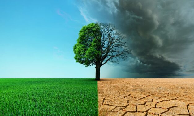 Proyecto promueve pautas bioéticas para enfrentar el cambio climático