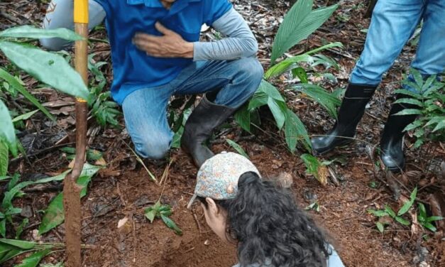 Suelos serían clave en lucha contra el cambio climático