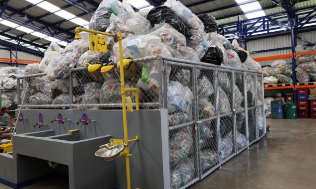 UNA es la primera universidad Carbono Neutral Plus del país