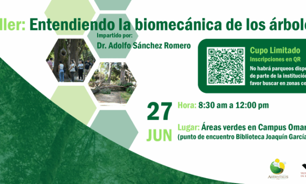 Taller: Entendiendo la biomecánica de los árboles