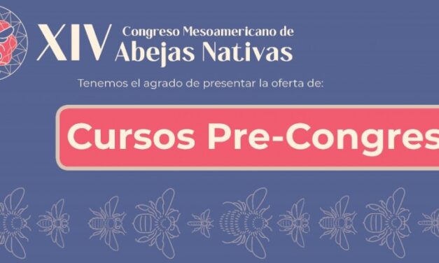 Cursos Pre-CMAN 2025