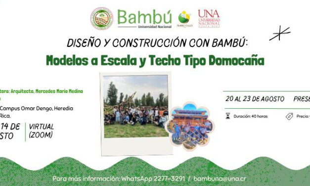 Taller: Diseño y Construcción con Bambú: Modelos a Escala y Techo Tipo Domocaña