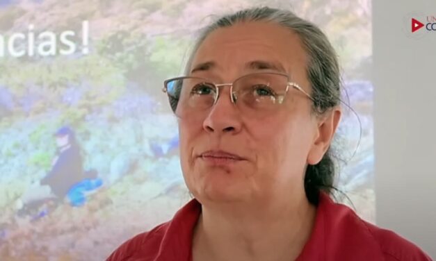 Radiografía del Chirripó revela antiguas formaciones glaciares
