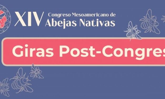 Giras Pos-Congreso