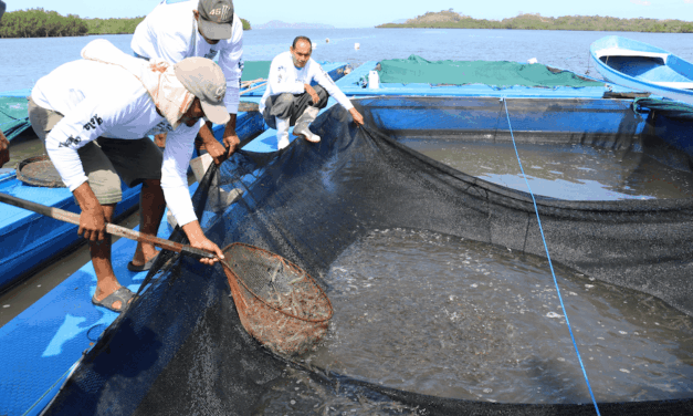 Cooperación internacional impulsará maricultura en Puntarenas