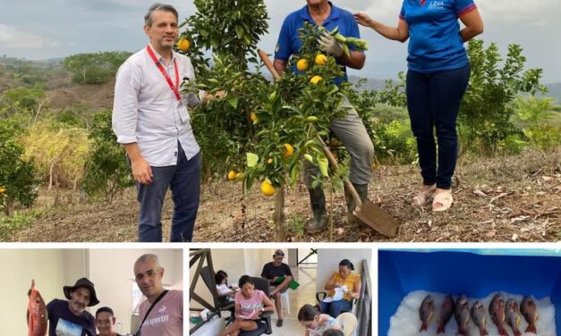 A sembrar sueños y a pescar oportunidades: el proyecto cadenas de valor