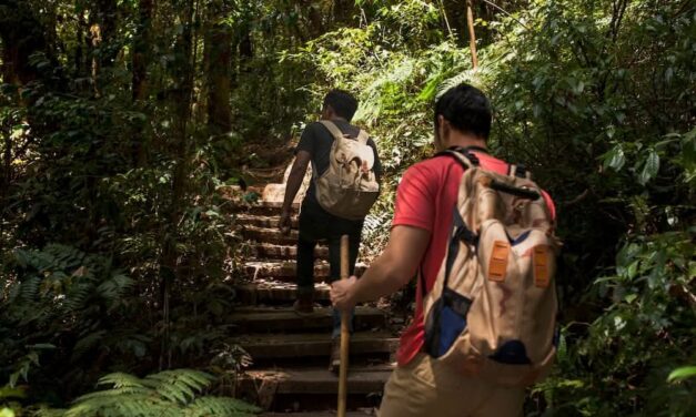 Del desarrollo sostenible al regenerativo: el aporte del turismo rural y rural comunitario