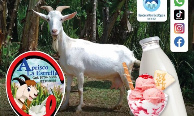 Identifican atractivos y productos turísticos en Corredores