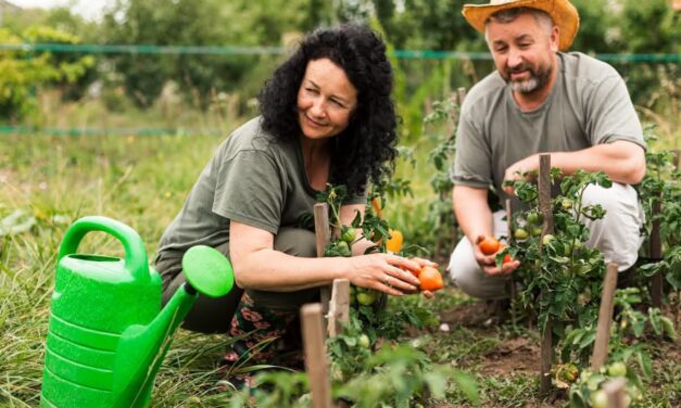 Ruralidad urge revitalizarse ante continuas amenazas