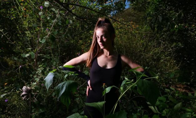 Baila por las abejas