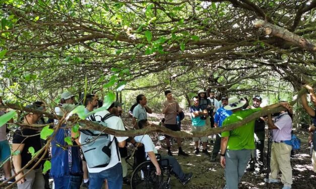 Campus Liberia se posiciona en sostenibilidad ambiental en el mundo