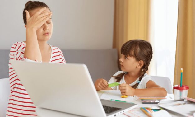 Ineina cuestiona impulso a jornadas de 12 horas tras declaraciones de Laura Fernández sobre crisis de salud mental en Occidente