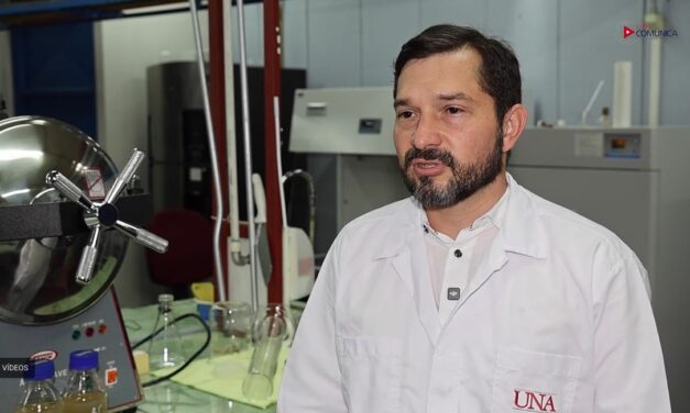 Hongo emergente amenaza producción de fresa