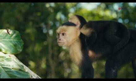 Enfermedades desatendidas: riesgo sanitario vigente