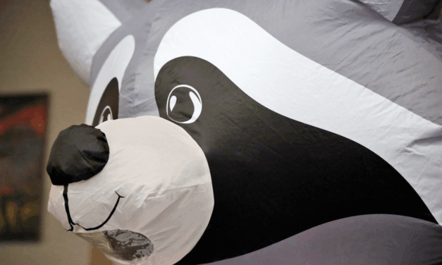 El mapache que vive en el campus y guio la inducción universitaria